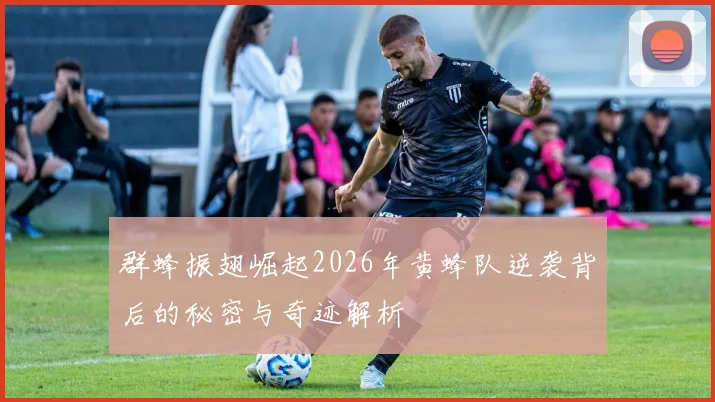 群蜂振翅崛起2026年黄蜂队逆袭背后的秘密与奇迹解析