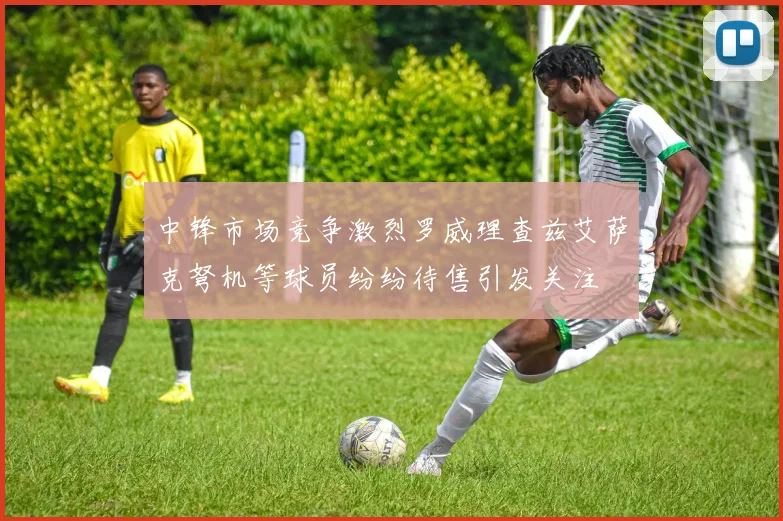 中锋市场竞争激烈罗威理查兹艾萨克弩机等球员纷纷待售引发关注