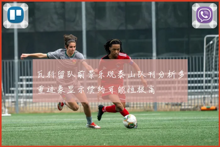 瓦科留队前景乐观泰山队刊分析多重迹象显示续约可能性极高